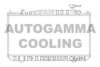 AUTOGAMMA 102123 Radiator, engine cooling